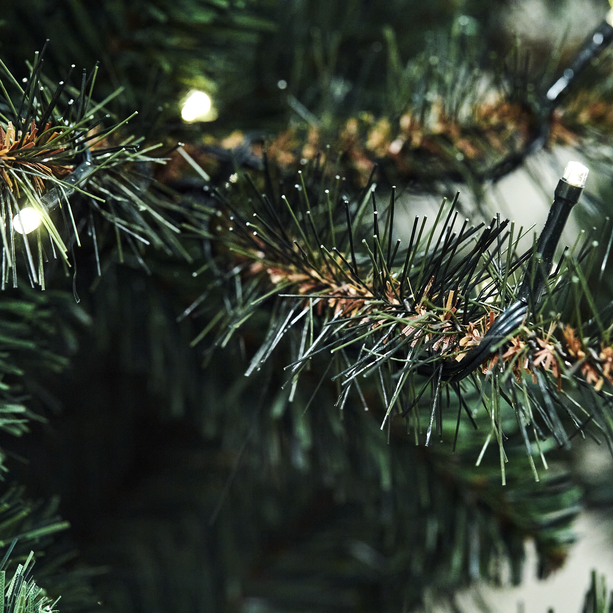 Image.aspx?id=4a199df9-0e54-495c-8456-caa5d665bb25