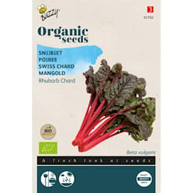 Buzzy Organic bladbede Rhubarb Chard økologiske frø