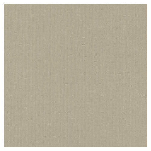Rasch Studio 2021 Poetry tapet Tekstur sand 0,53 x 10 meter 423921 - Tapet, Indretning til hjemmet