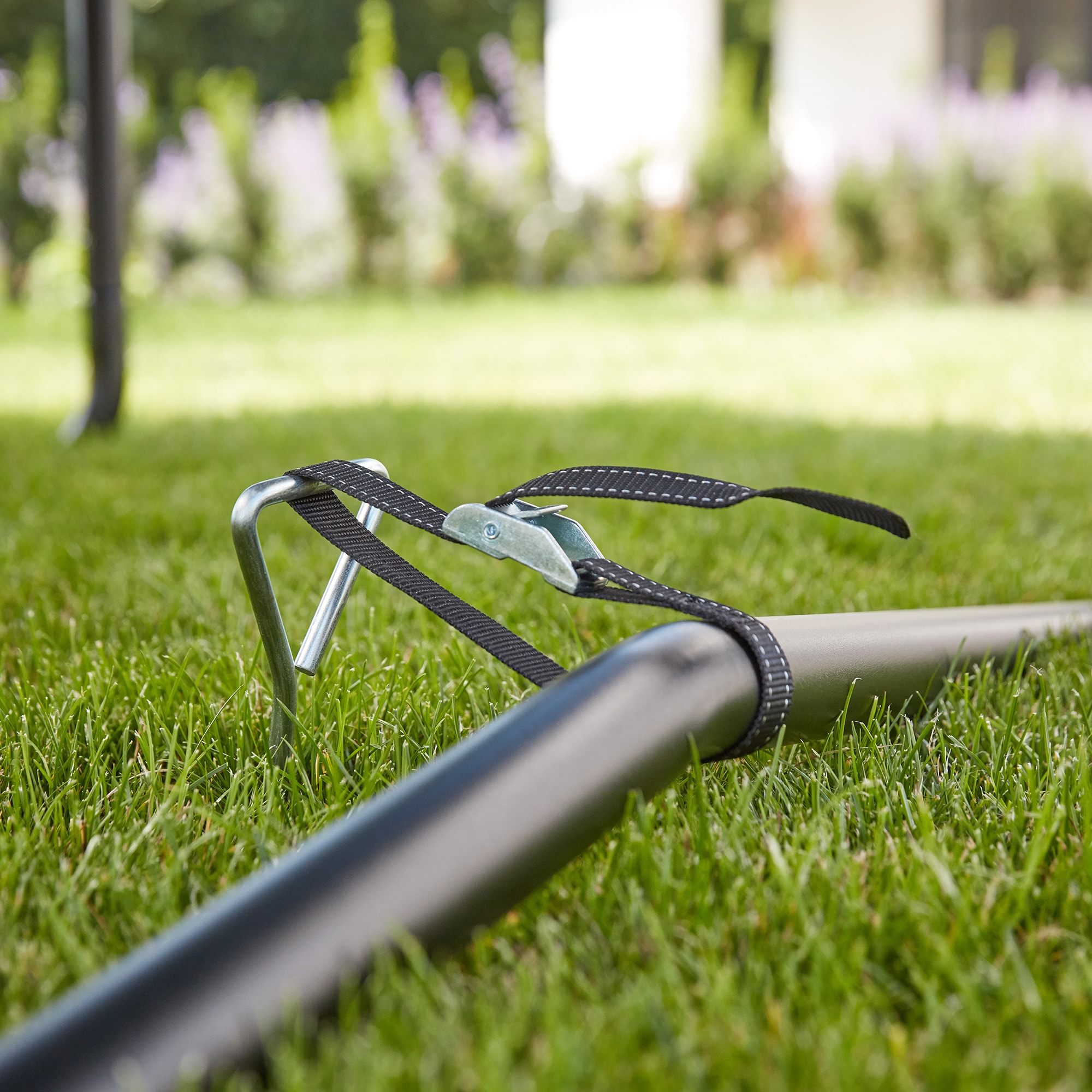 Image.aspx?id=8c8436be-d98a-4045-b578-de060d79b813