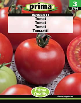 Prima Harzfeuer tomat frø til ca. 15 planter