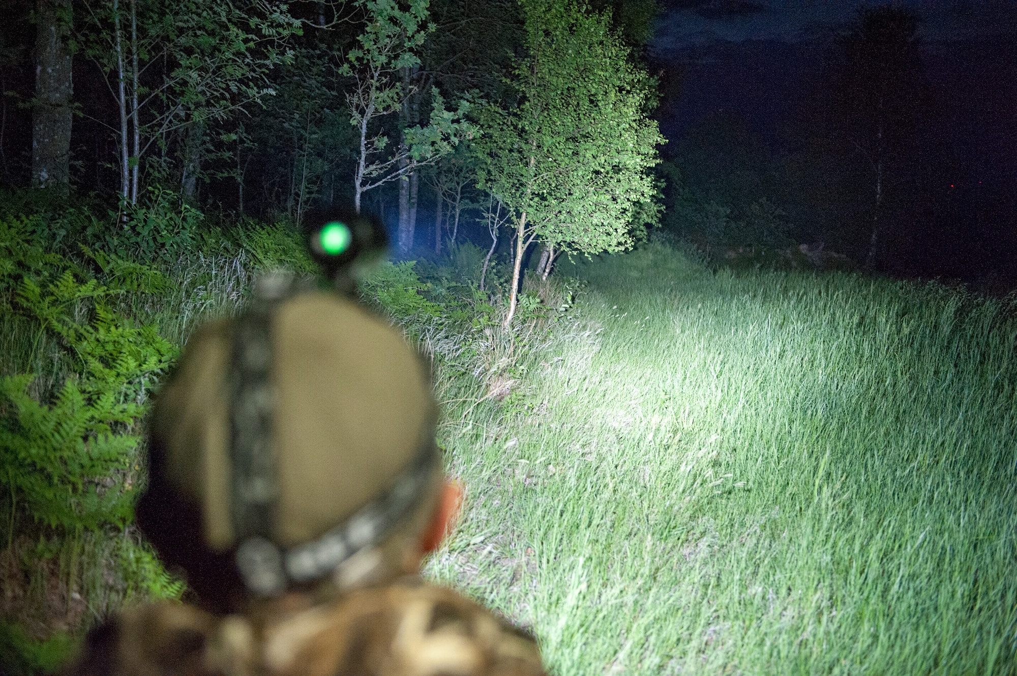 02e53c88-350e-4848-8e73-658dcdcdeb92[1]