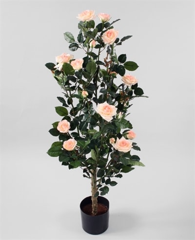 Silkeplanter kunstig rosentræ med creme blomster H120 cm