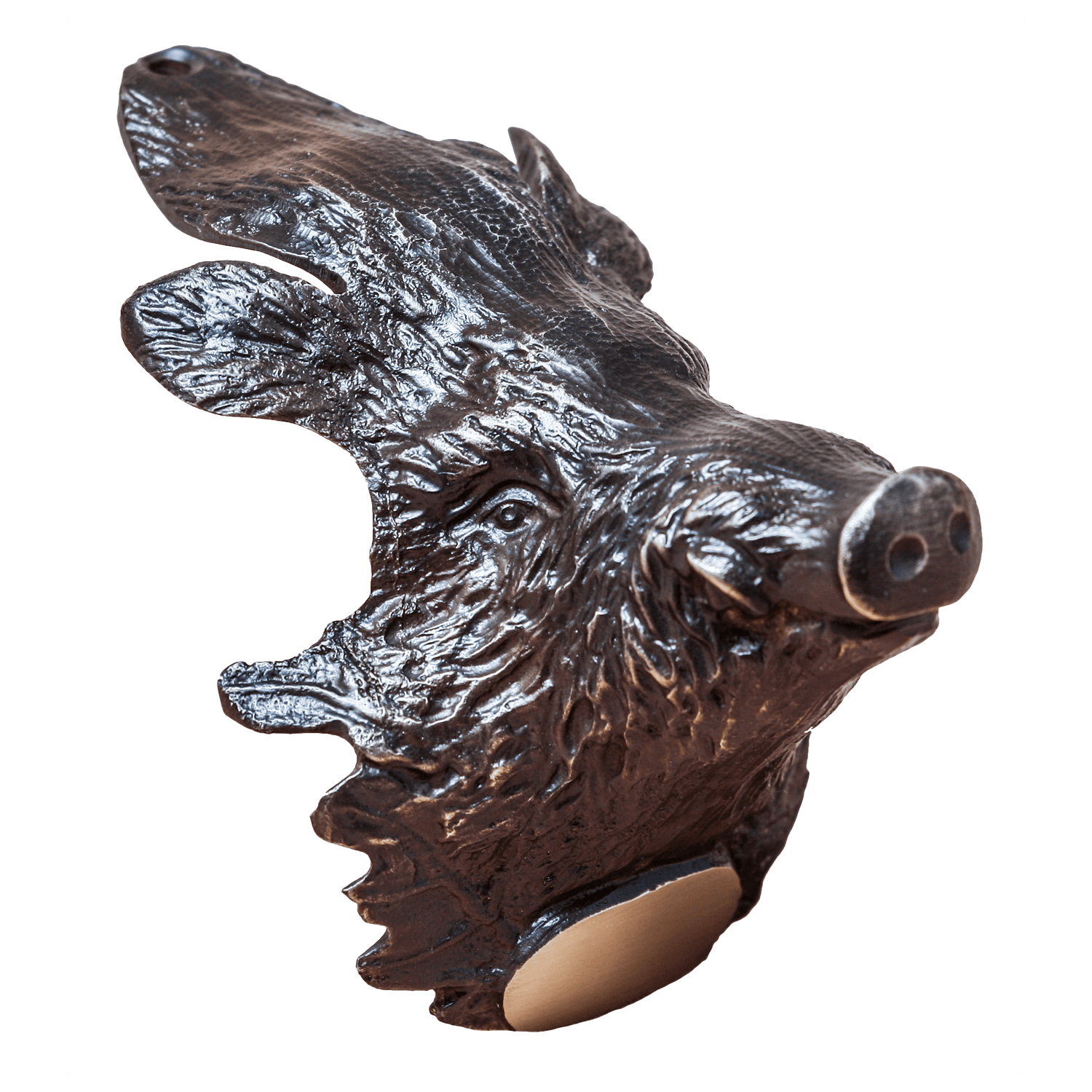 5etta vildsvinehoved i messing