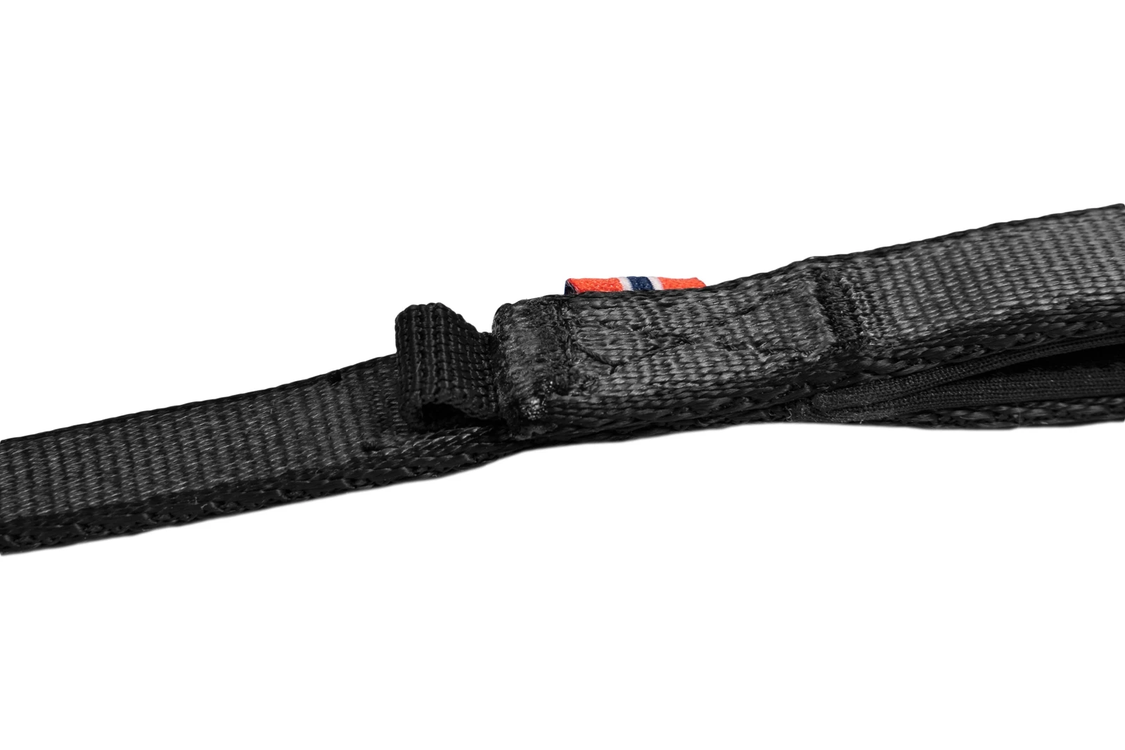 move_leash_feature_4[1].webp