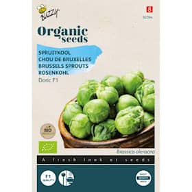 Buzzy Organic rosenkål Doric F1 økologiske frø