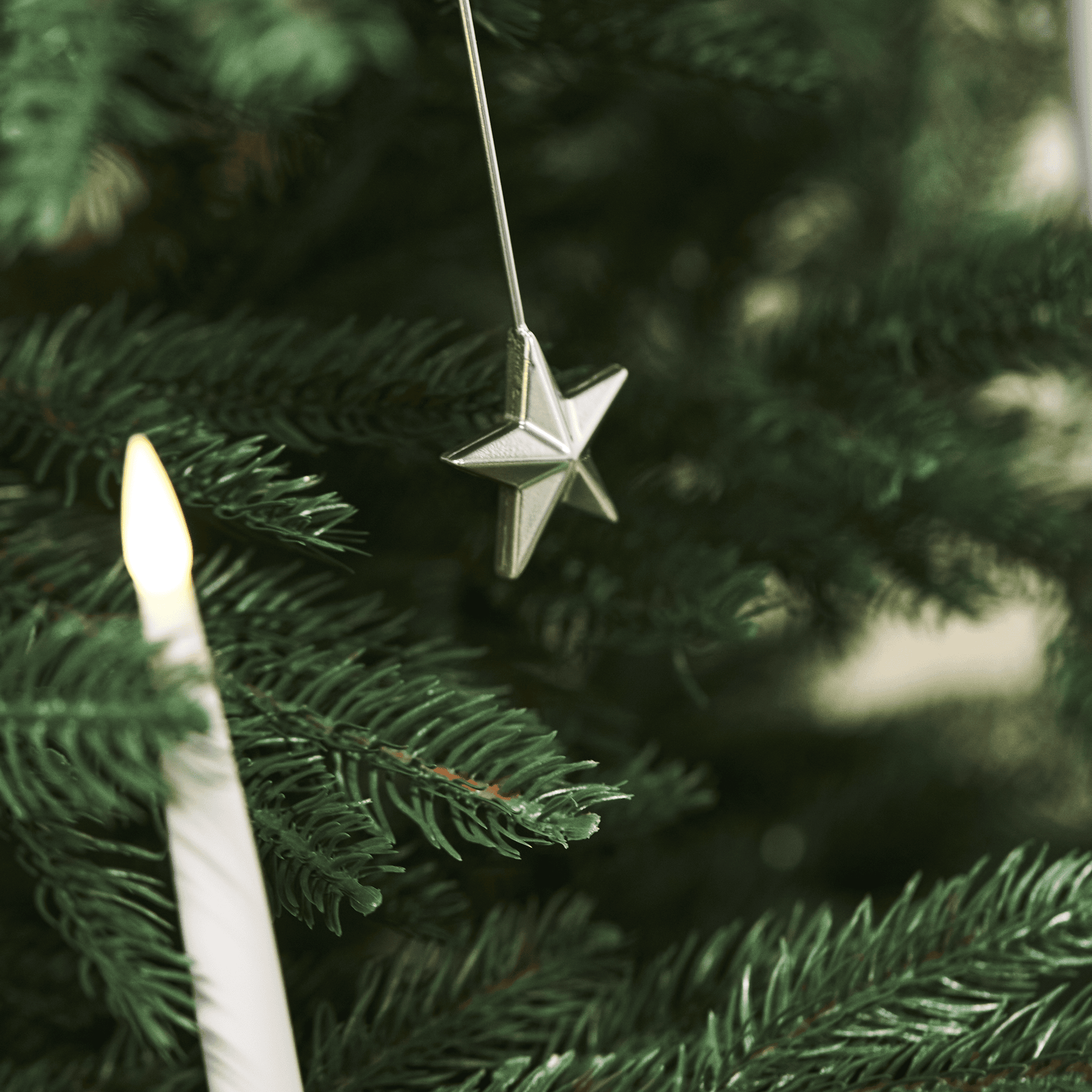 Image.aspx?id=aaa686ce-b765-44b0-8c6f-4f9276e9949f