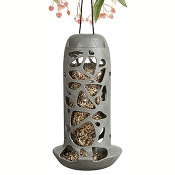 Fuglefoder til frø Tara