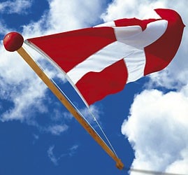 Dano Mast træflagstang grundbehandlet 12 meter