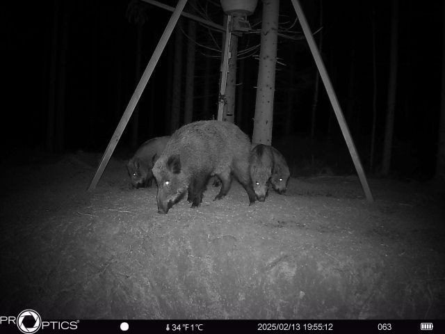 2025-02-13T06_55_c3b6bf1a-3889-4ea1-8a2a-a97720579