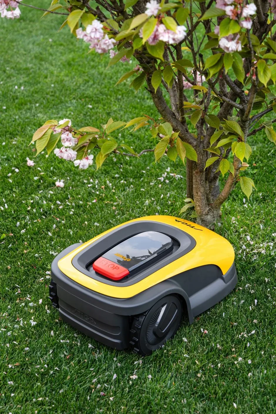 542e20013c01947c36a7e55dcc877b61a74478e6_G1200_2R3