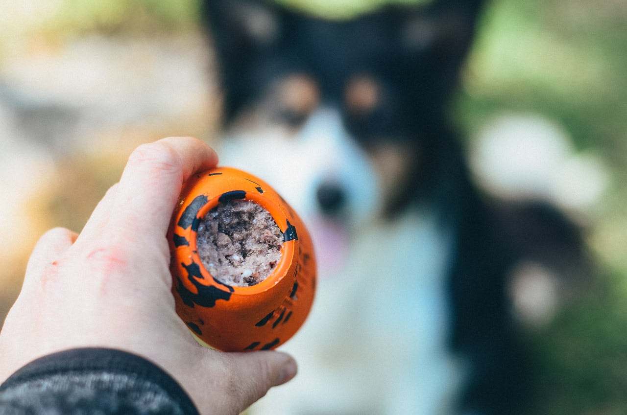 407e1177-601b-4241-89fd-03f3547f5c2a[1]