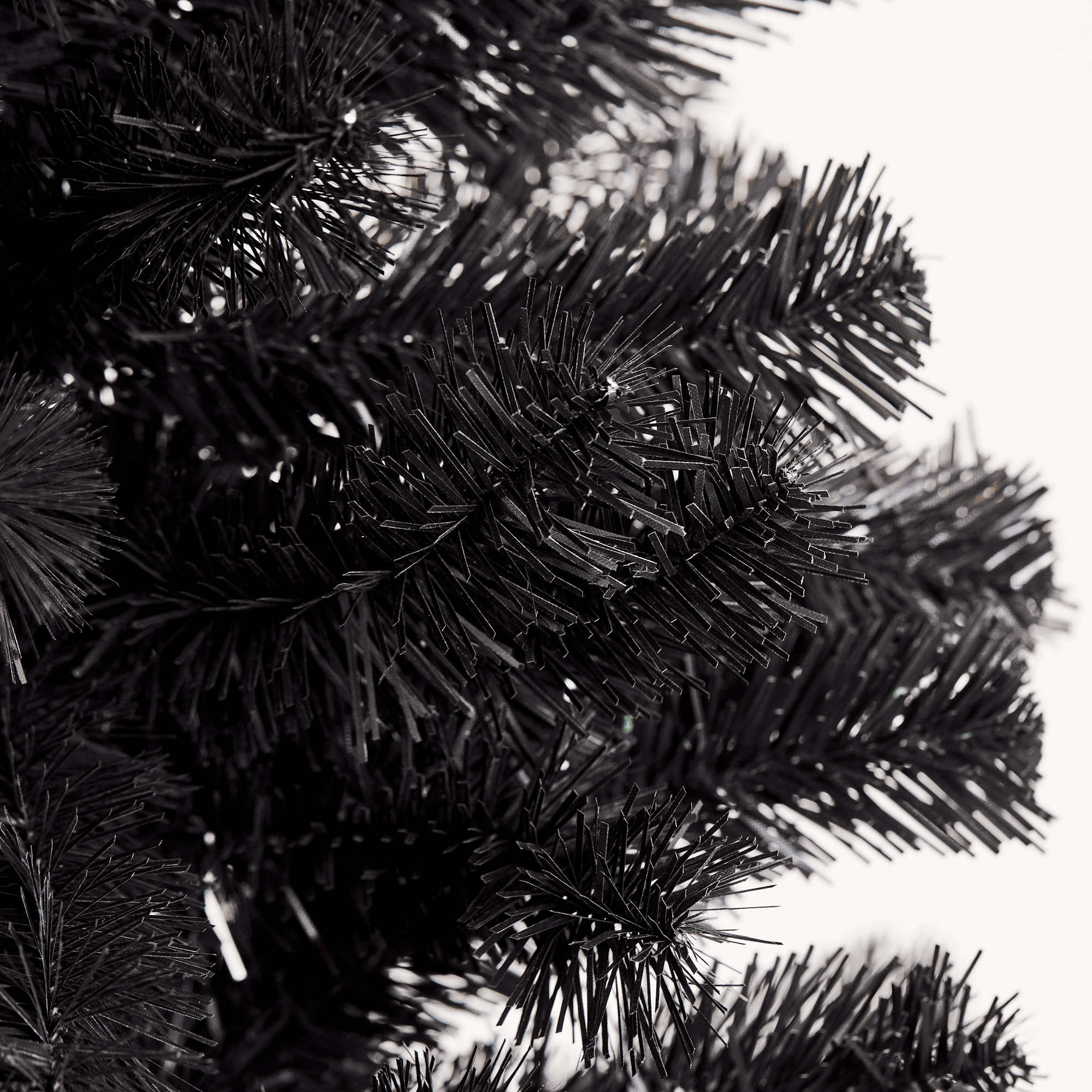 Image.aspx?id=23b657d1-8c31-4edb-98a3-6bbc2ec8233e