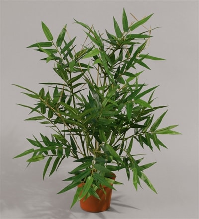 Silkeplanter kunstig bambus plante H38 cm