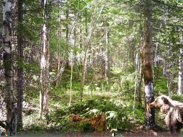 2023-06-09T01_02_29e1abfd-3f1b-49bc-91c8-ec70a6ec2