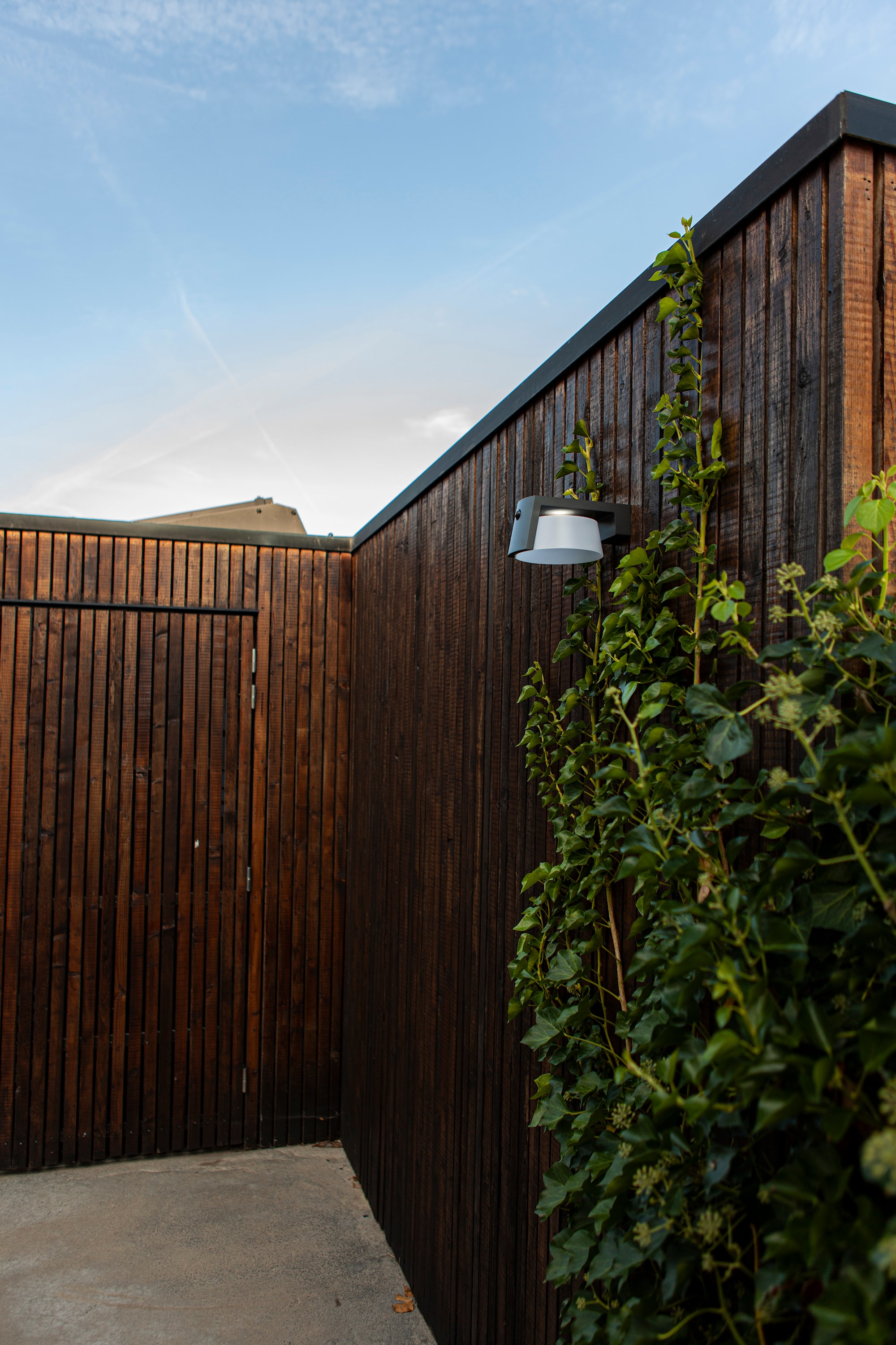 6906001118_6939412014838 (5).jpg