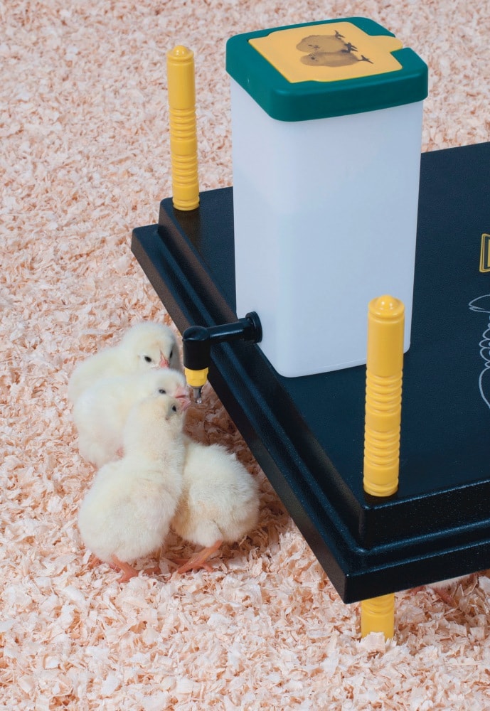 Olba Water Dispenser for Chickens 1l