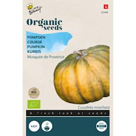 Buzzy Organic græskar Musquée de Provence økologiske frø