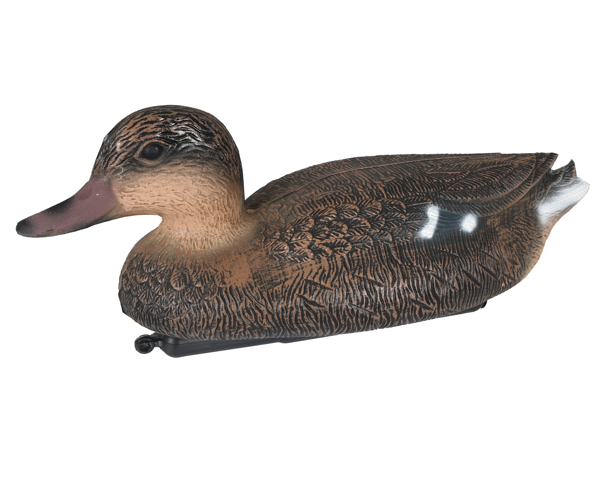 5etta Gråand Hun, Lokkefugl