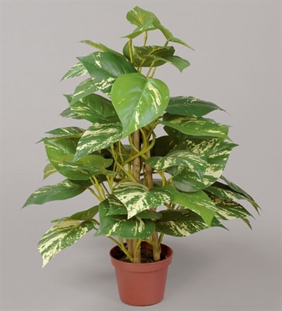 Silkeplanter kunstig Pothos busk H42 cm